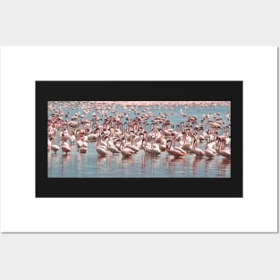 Flamingos and Flamingos..... Posters and Art